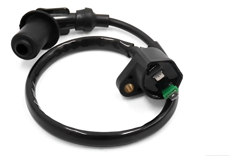 BOBINA DE ENCENDIDO PARA MOTO by VECTOR MOTORS