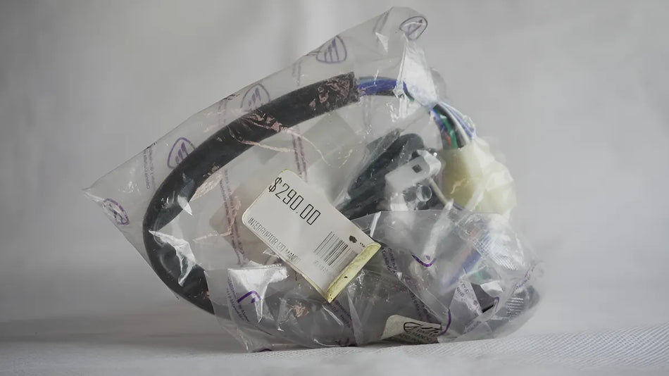 MICROSWITCH FRENO TRAS CON RESORTE FT150 by ITALIKA